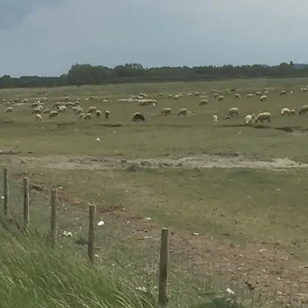 Campingplads Le Pipa Quend