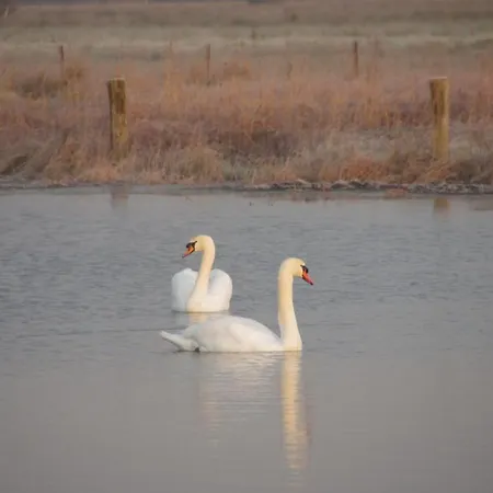 مكان تخييم Le Pipa