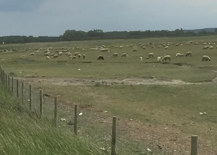 Camping Le Pipa Quend